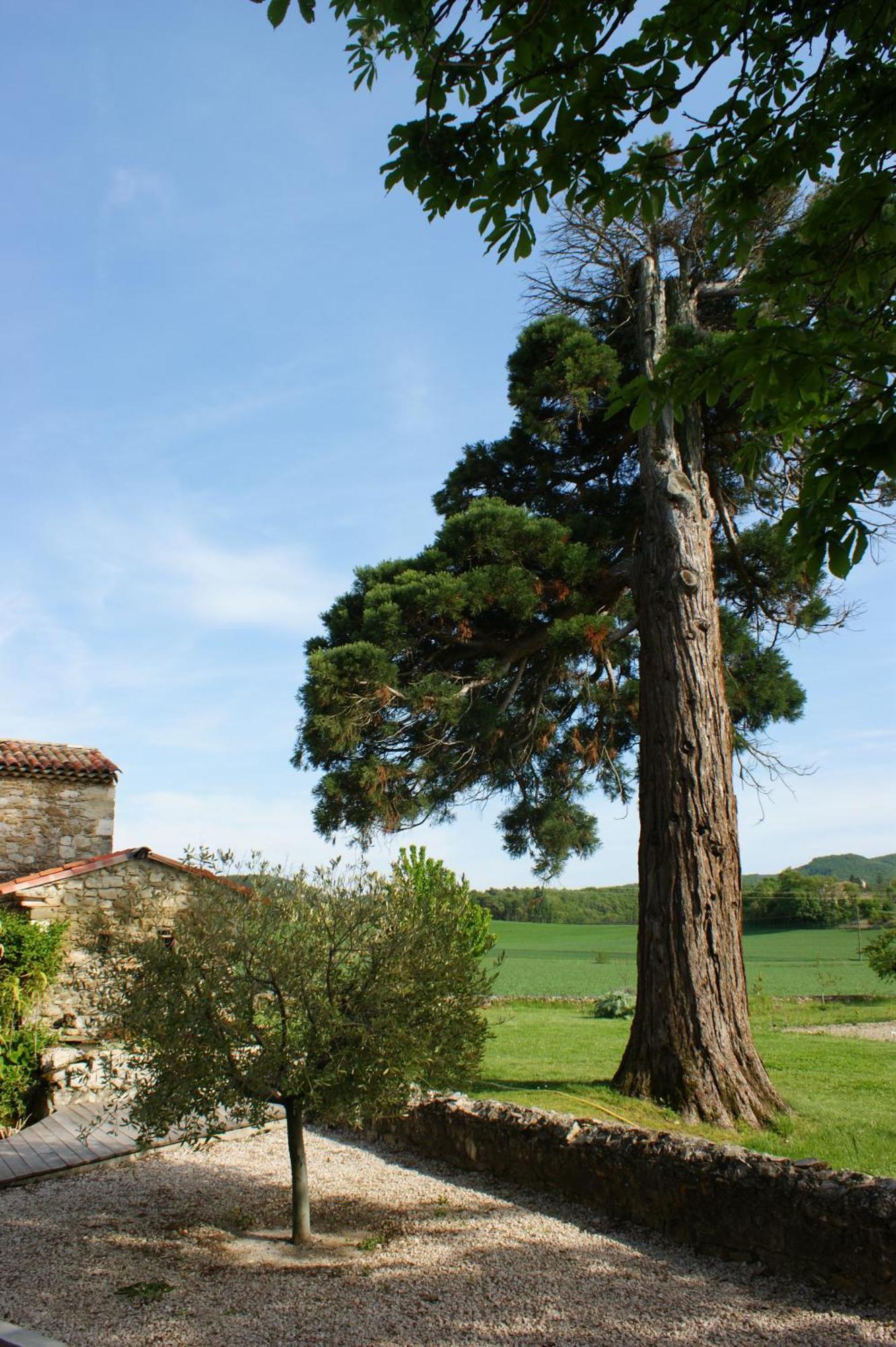 Hotel Le Prieure Des Sources La Répara Exterior foto